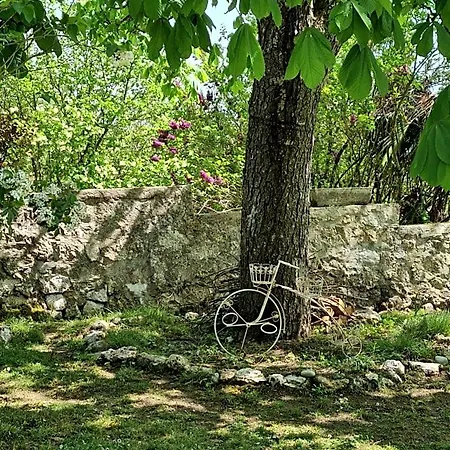 Oda ve Kahvaltı La Boheme 3*